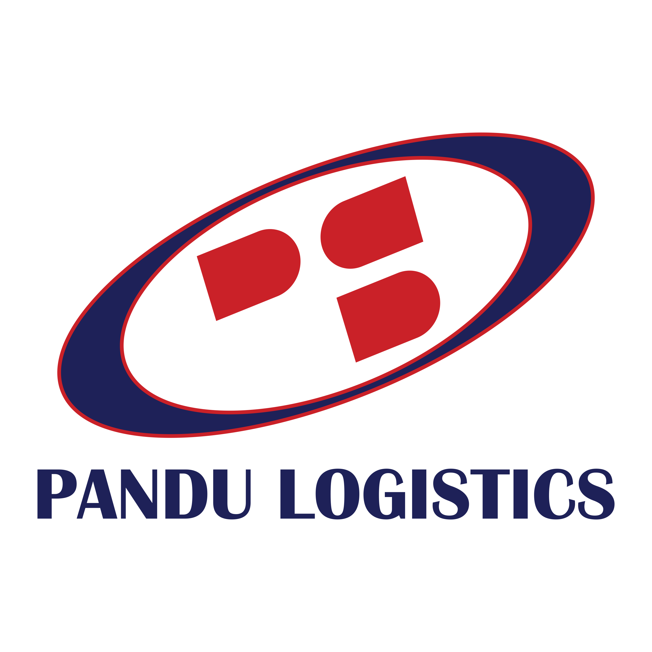 Pandu Logistics
